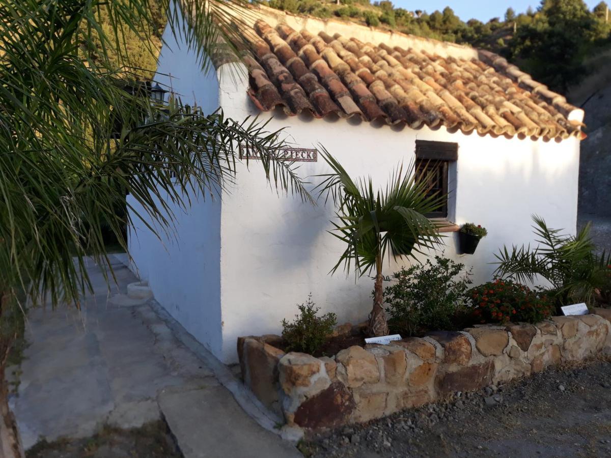 Tiny House 12M2 In Holiday Park With 55 M2 Pool Tolox Esterno foto